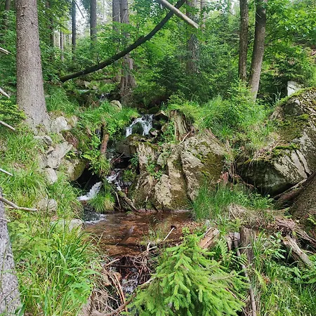Pod Dobrym Humorem Bed & Breakfast Miedzygorze