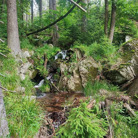 Pod Dobrym Humorem Couette-café Międzygórze