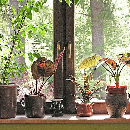 Couette-café Pod Dobrym Humorem