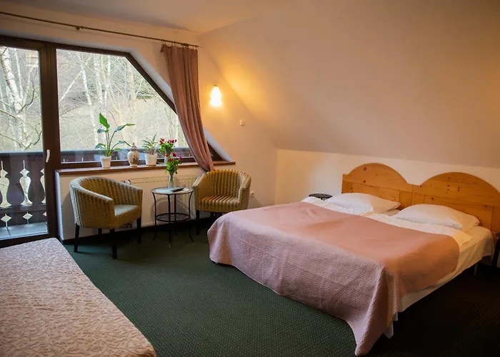 Pod Dobrym Humorem Bed and Breakfast Miedzygorze