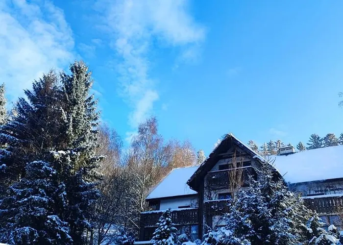 Pod Dobrym Humorem Bed and Breakfast 3*