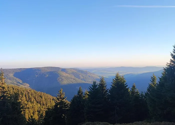 Pod Dobrym Humorem Bed and Breakfast 3*