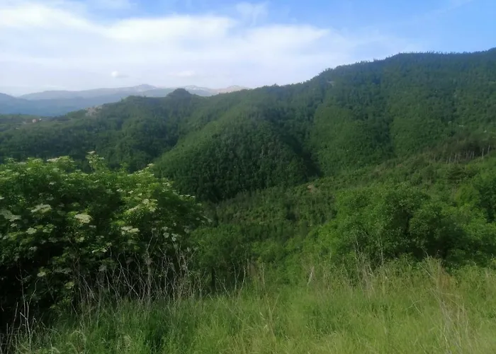 Pod Dobrym Humorem Bed and Breakfast Miedzygorze